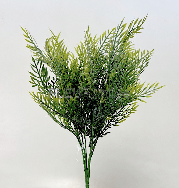 Tuje x7 41cm  24/192