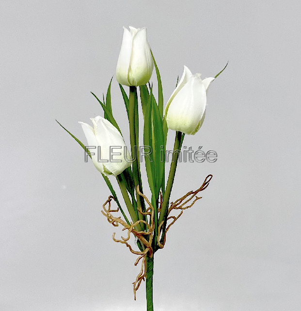 Jarní mix x3 22cm  24/288