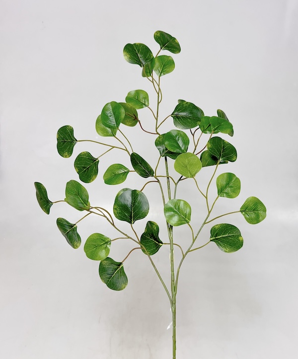 Větev eukalypt 67cm  48/384