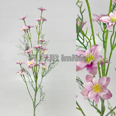 Cosmos mini 68cm 24/144
