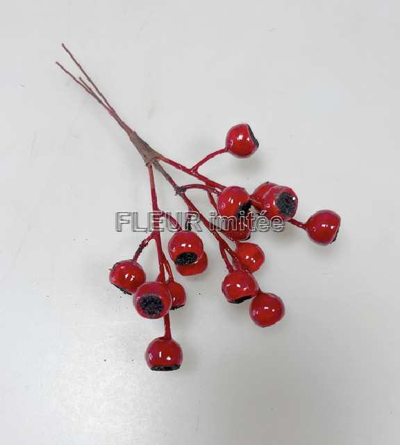 Jeřabina S3 18cm 12/144