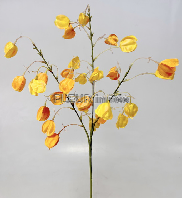 Physalis x3  74cm 12/144
