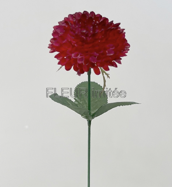 Cinie záp. 44cm 144/1152