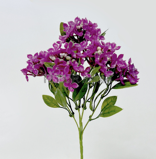 Cinie záp. 44cm 144/1152