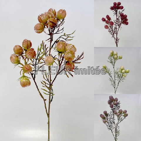 Mochna mini x3  60cm 36/216