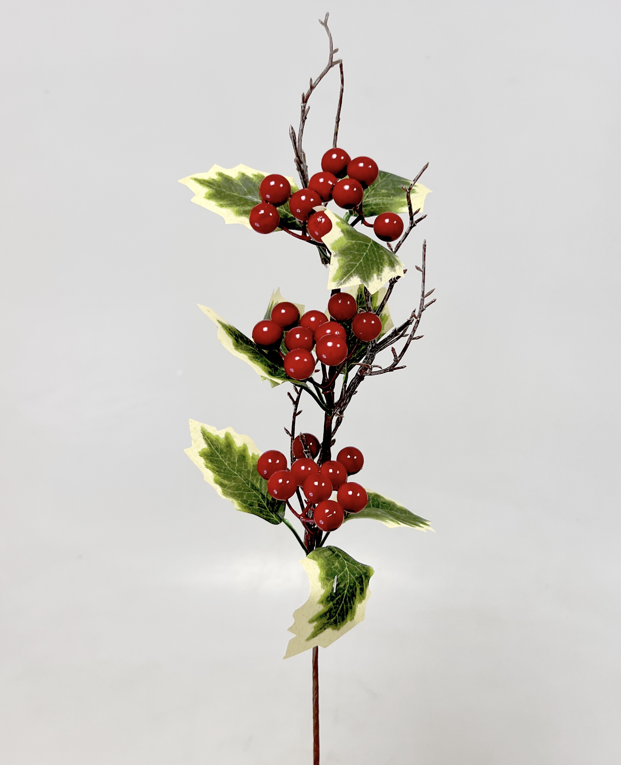 Cesmína 40cm 1/192