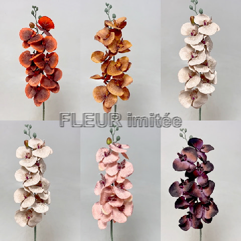 Orchidea  90cm latex  12/144