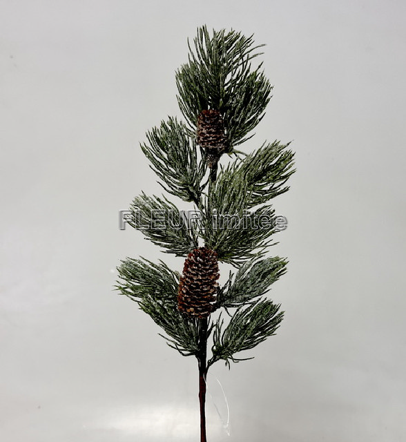 Chvojí větev 44cm 24/240