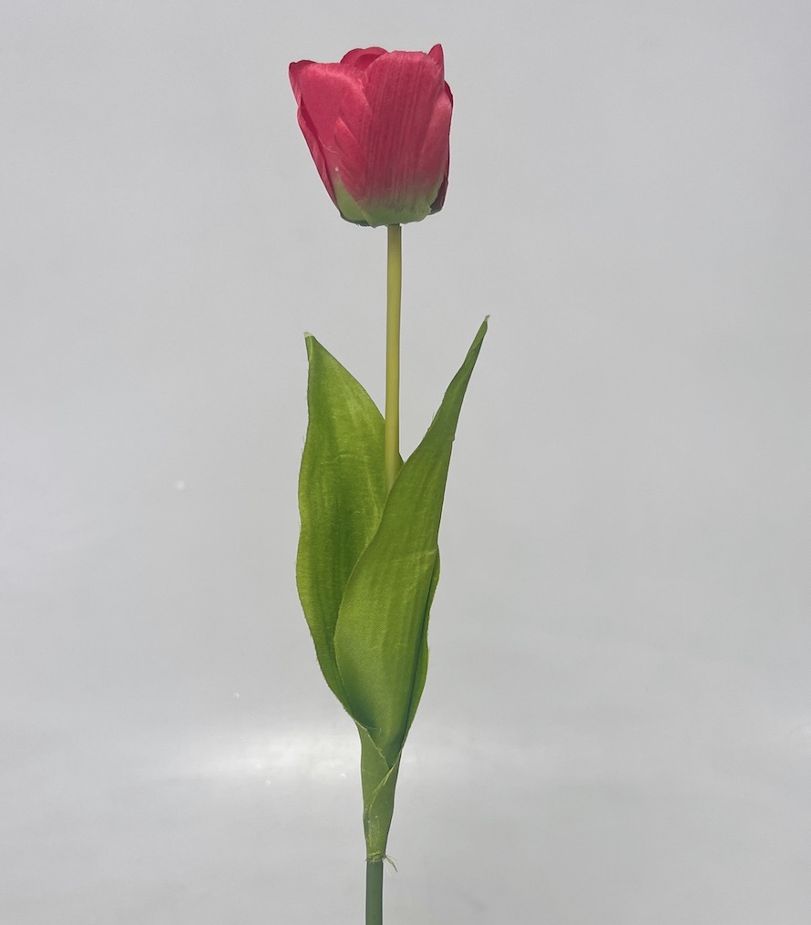 Tulipán x1 54cm 48/480