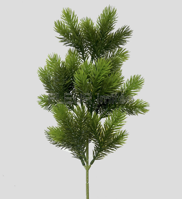 Chvojí 46cm