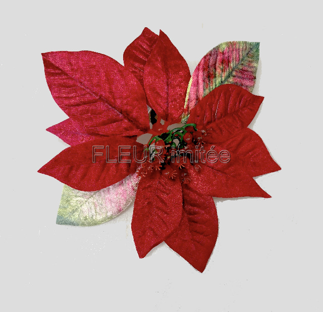Květ poinsettia klips 16cm 6/48