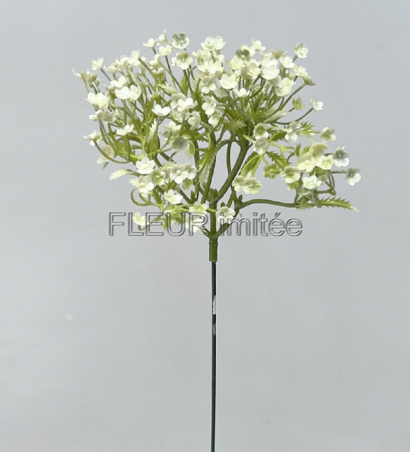 Gypsophila 42cm 12/72