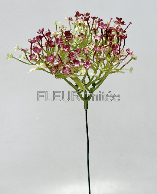 Gypsophila 42cm 12/72