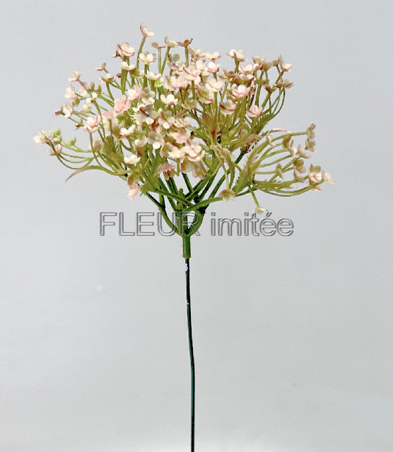 Gypsophila 42cm 12/72