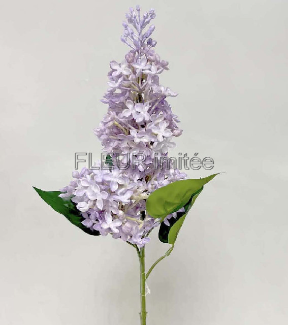 Šeřík x2 68cm latex 12/96