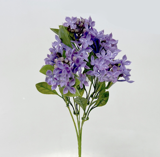 Šeřík x5 30cm latex 24/240