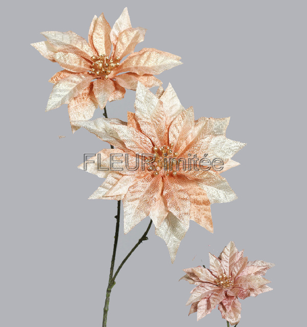 Poinsettia x2 66cm 16/96