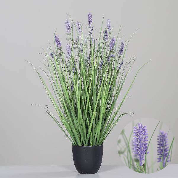 Tráva v květ.72cm levandule 6/48