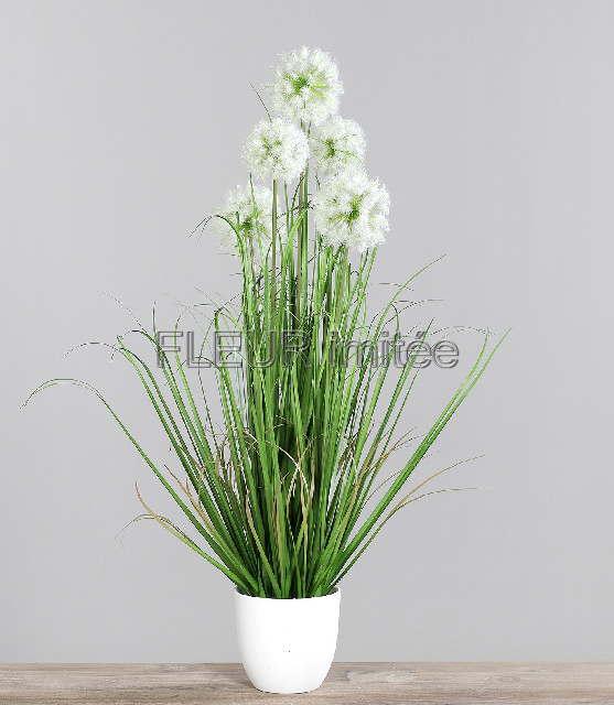 Tráva v květ.82cm pampeliškou 6/36