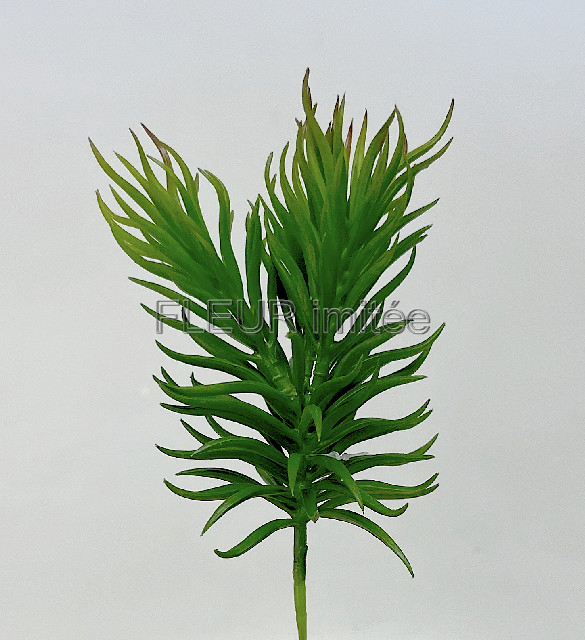 Sukulent x1 20cm 24/144
