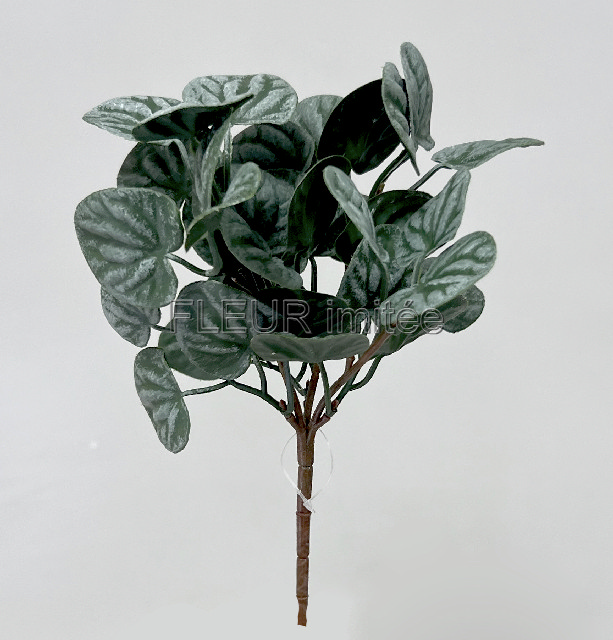 Pepřovník 25cm latex 24/144