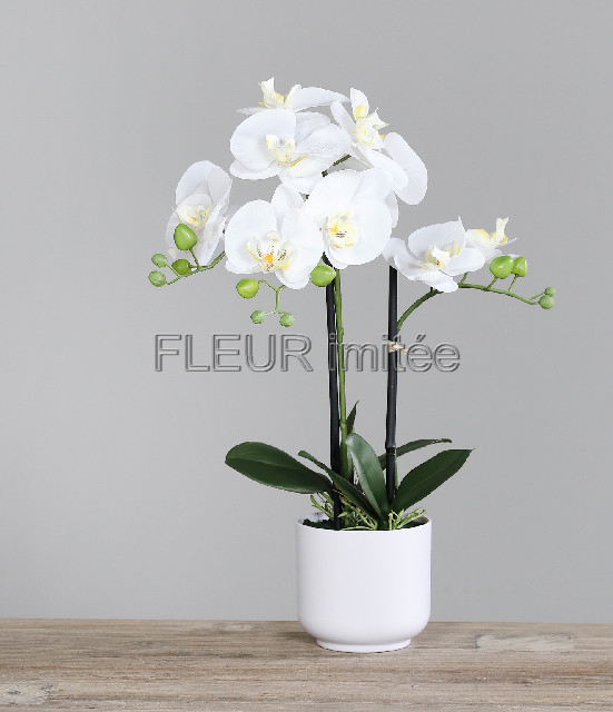 Orchidea phal 56cm vč.květ.