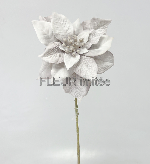 Poinsettia 45cm 36/216