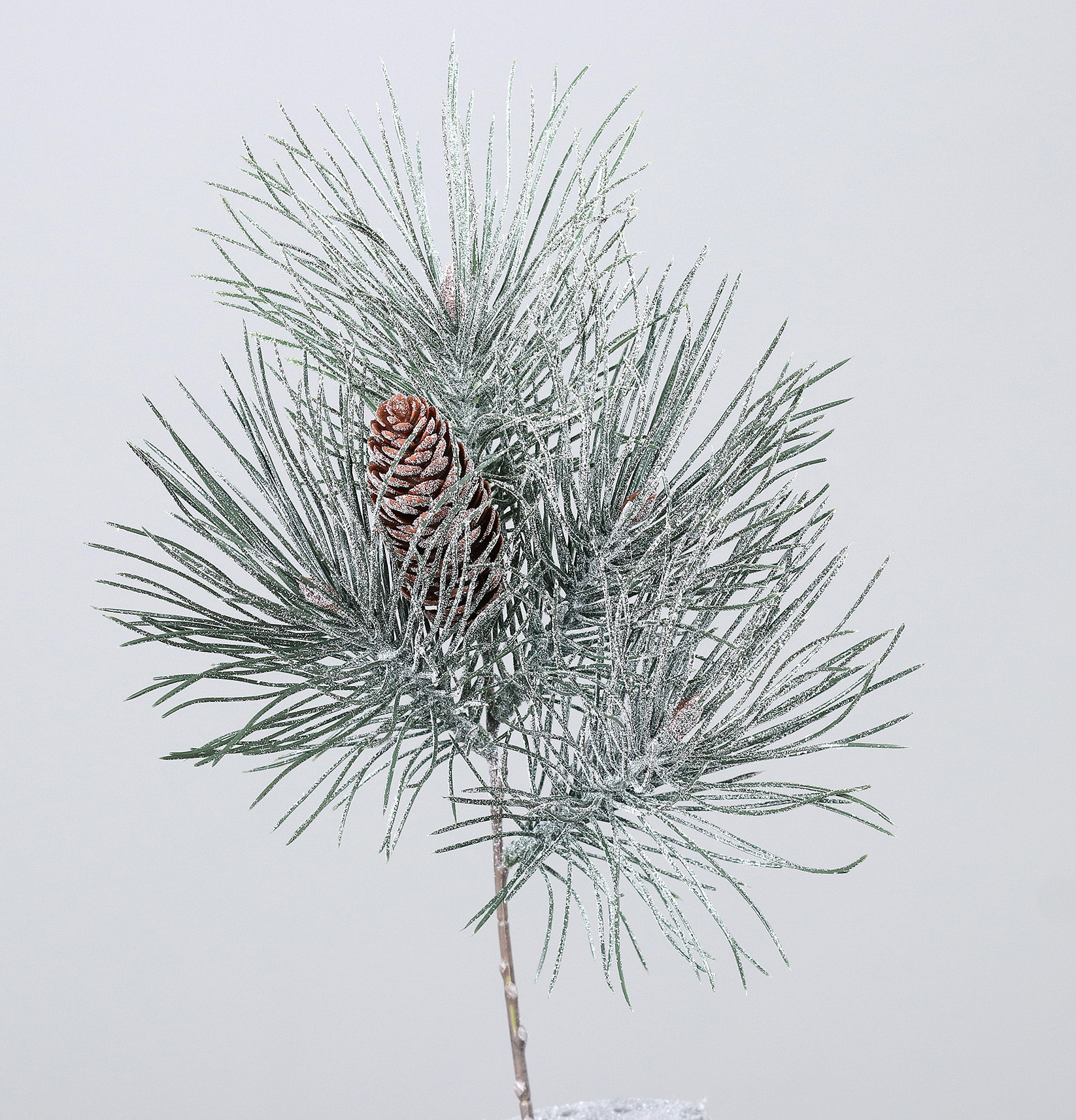 Chvojí se šiškou 40cm 24/144