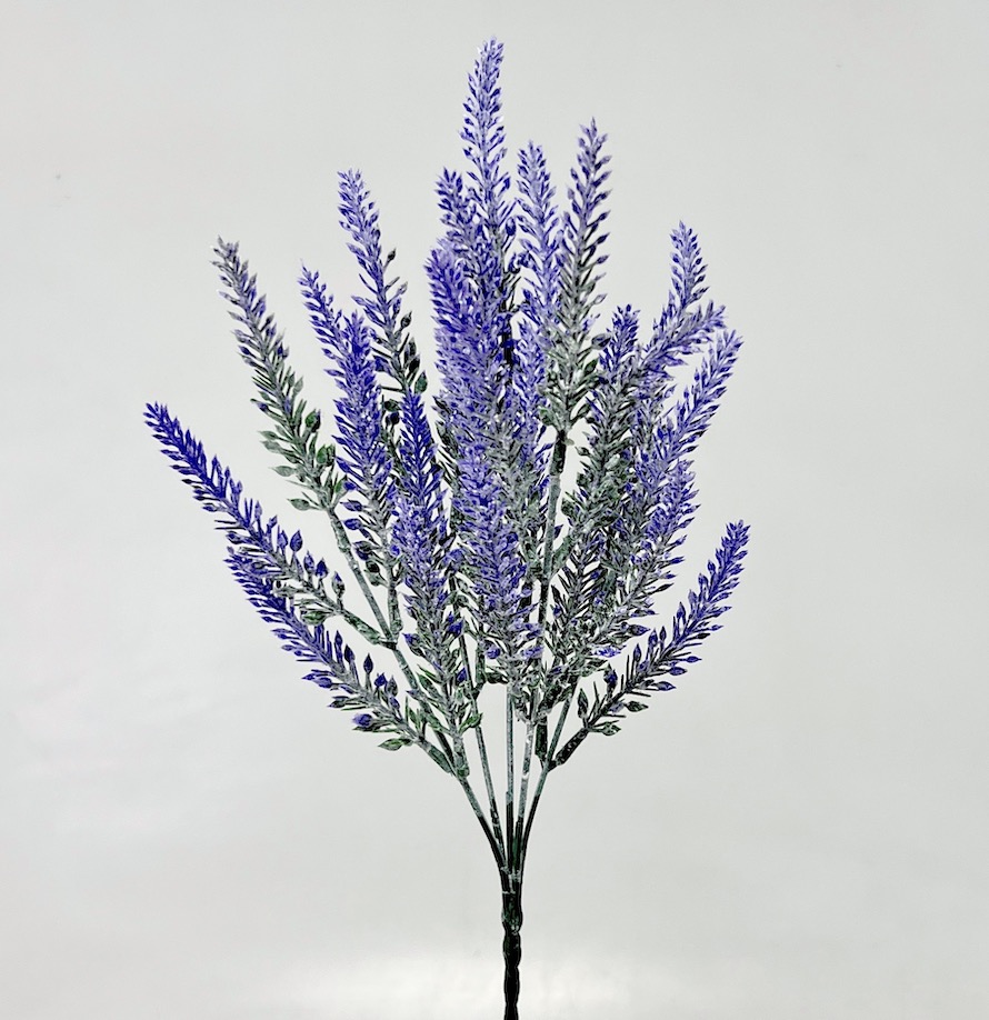 Levandule x5 36cm  12/36