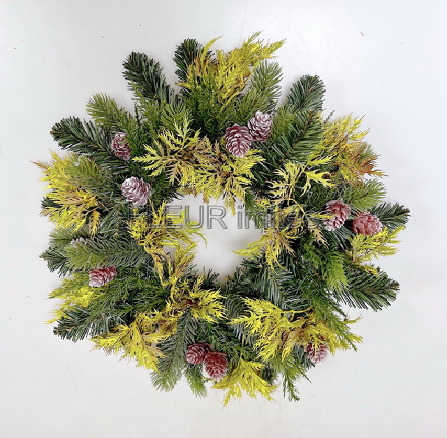 Věnec chvojí 40cm 2/30