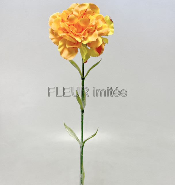 Karafiát x1 68cm 48/480