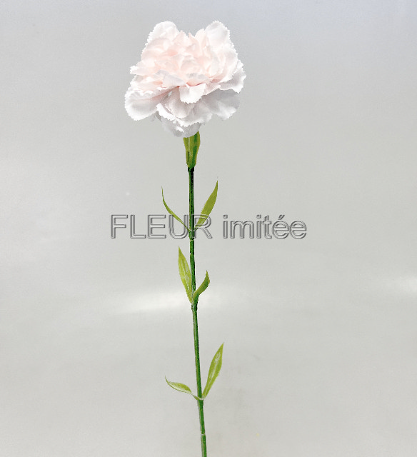 Karafiát x1 68cm 48/480