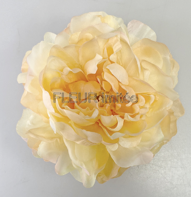 Květ pivoňka 16cm  12/360