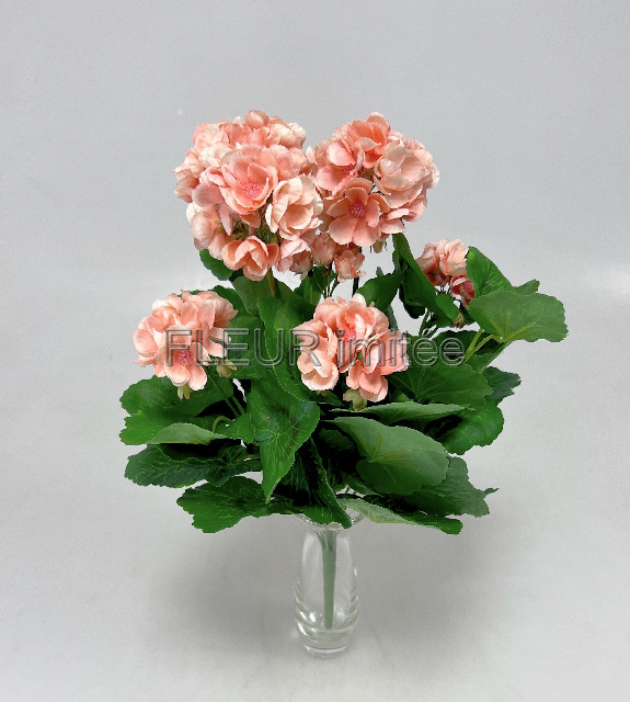 Muškát x9  45cm  8/80