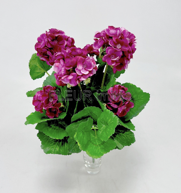 Muškát x9  45cm  8/80