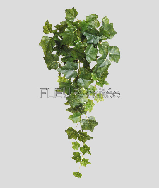 Břečťan pop.57cm.  6/72