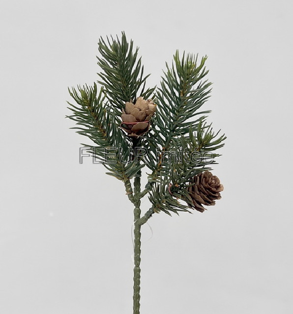 Chvojí x4 se šiškou 23cm 36/432