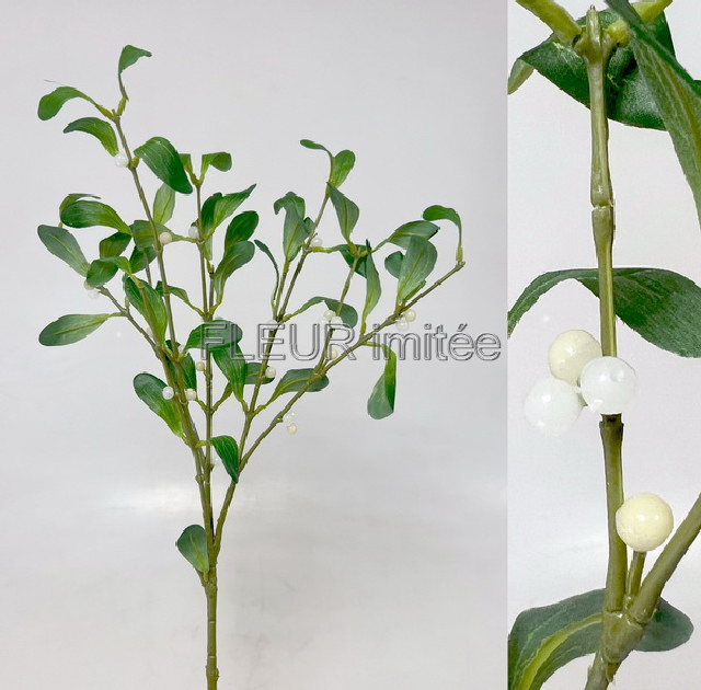 Jmelí x6 54cm 12/144