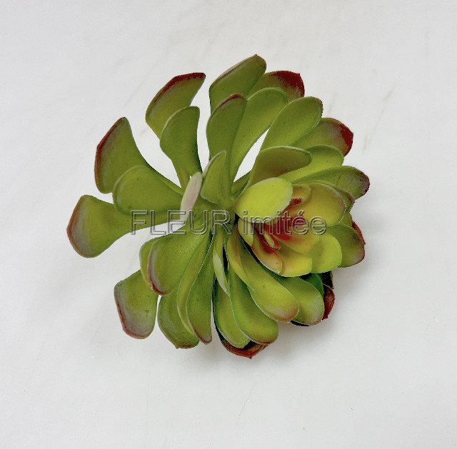 Sukulent 17cm 1/12