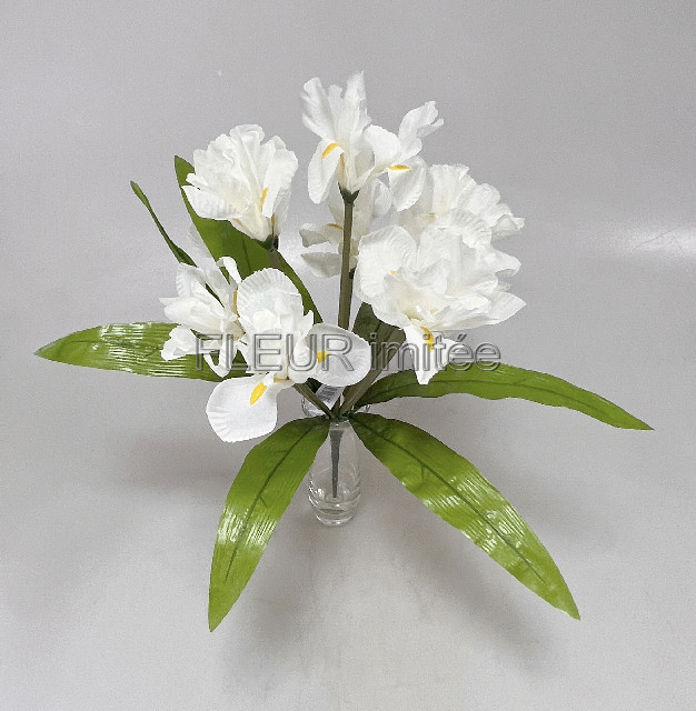 Iris x9  44cm   12/120