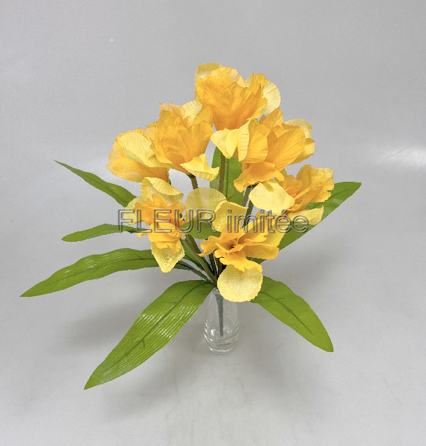 Iris x9  44cm   12/120