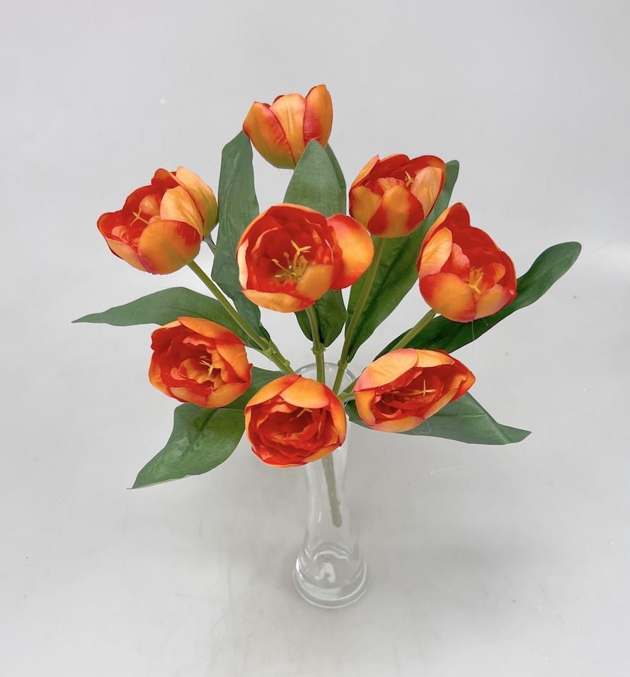 Tulipán x9 42cm 24/144