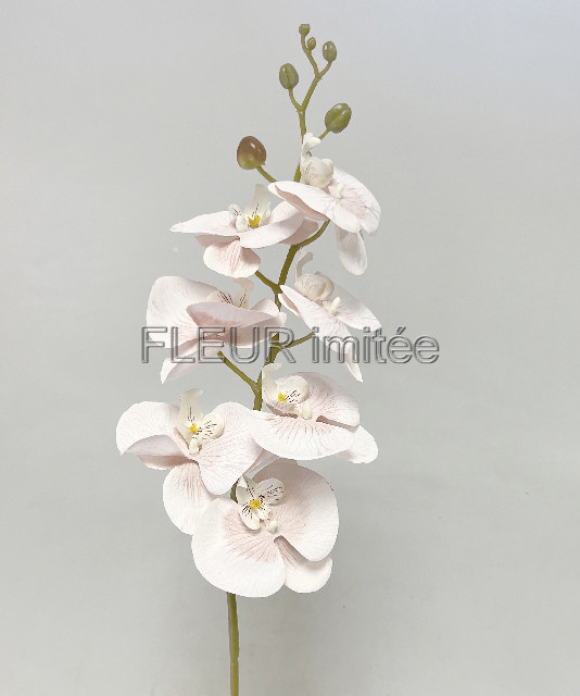 Orchidea 7kv. 90cm 24/192