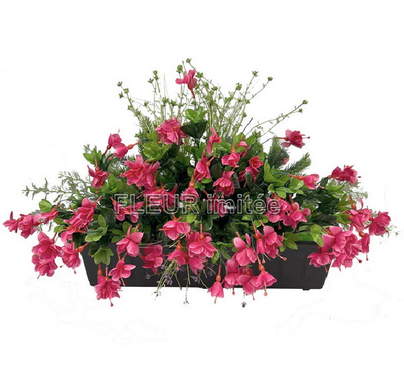 Truhlík fuchsie  60x35cm