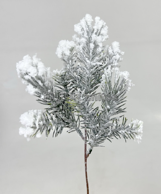 Chvojí x3 zasněž. 22cm 6/72