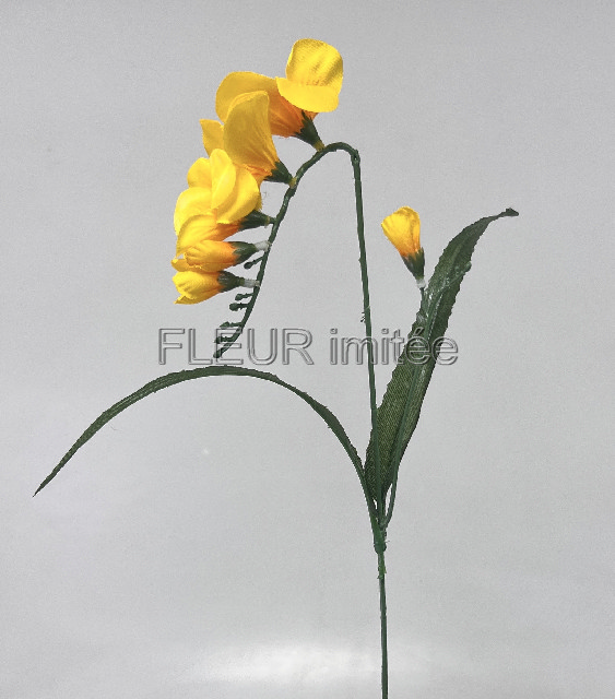 Frezie s poup. 52cm    144/1152