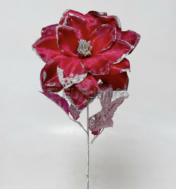 Magnolie x1 65cm 12/144