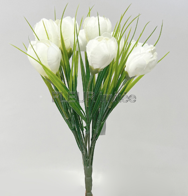 Crocus x12 26cm 24/240