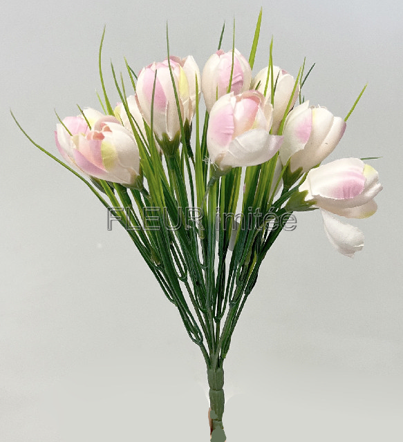 Crocus x12 26cm 24/240