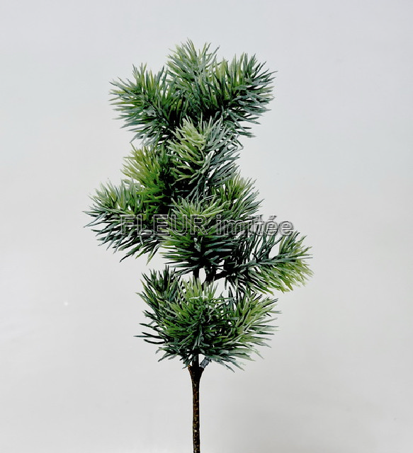 Chvojí větev 45cm  12/144